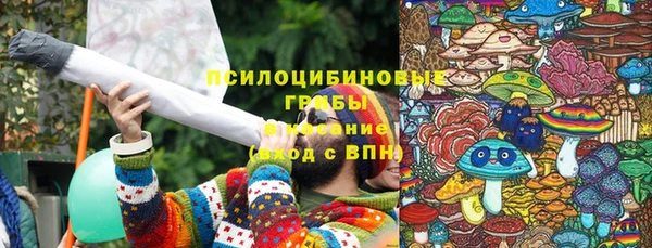 Альфа ПВП Алексин